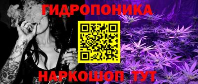 PSILOCYBIN Майкоп