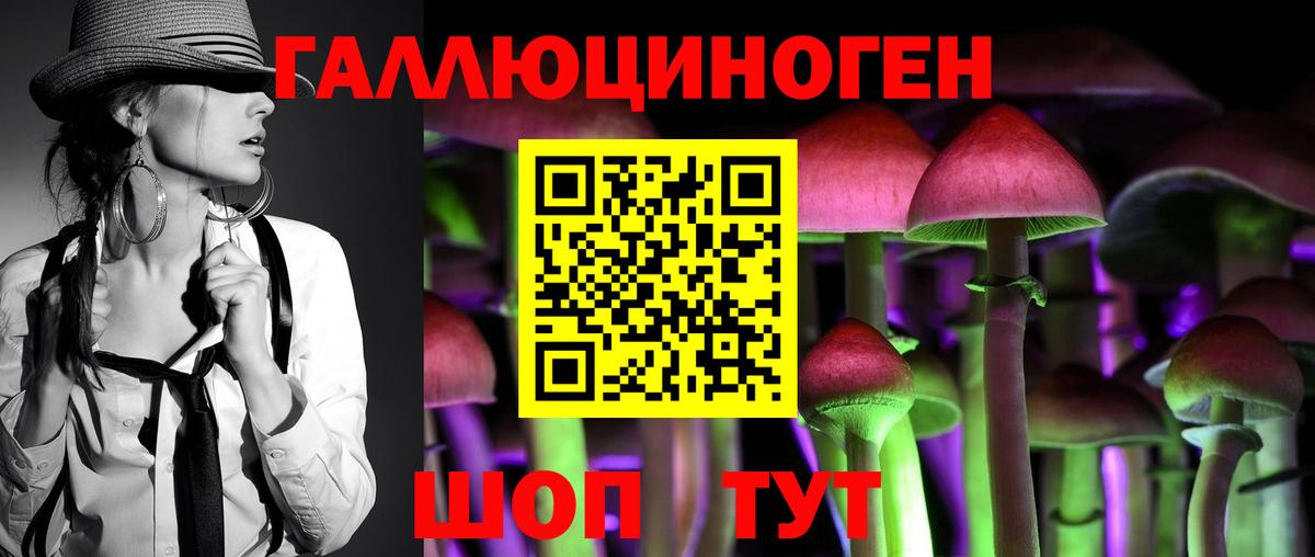 Кострома  Псилоцибиновые грибы мицелий  Вход с VPN  Галлюциногенные грибы GOLDEN TEACHER 